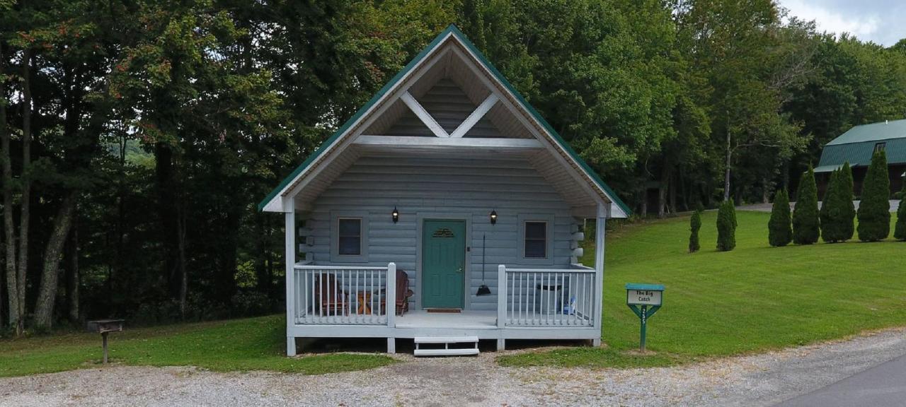The Cabins At Pine Haven - Beckley Beaver Ngoại thất bức ảnh